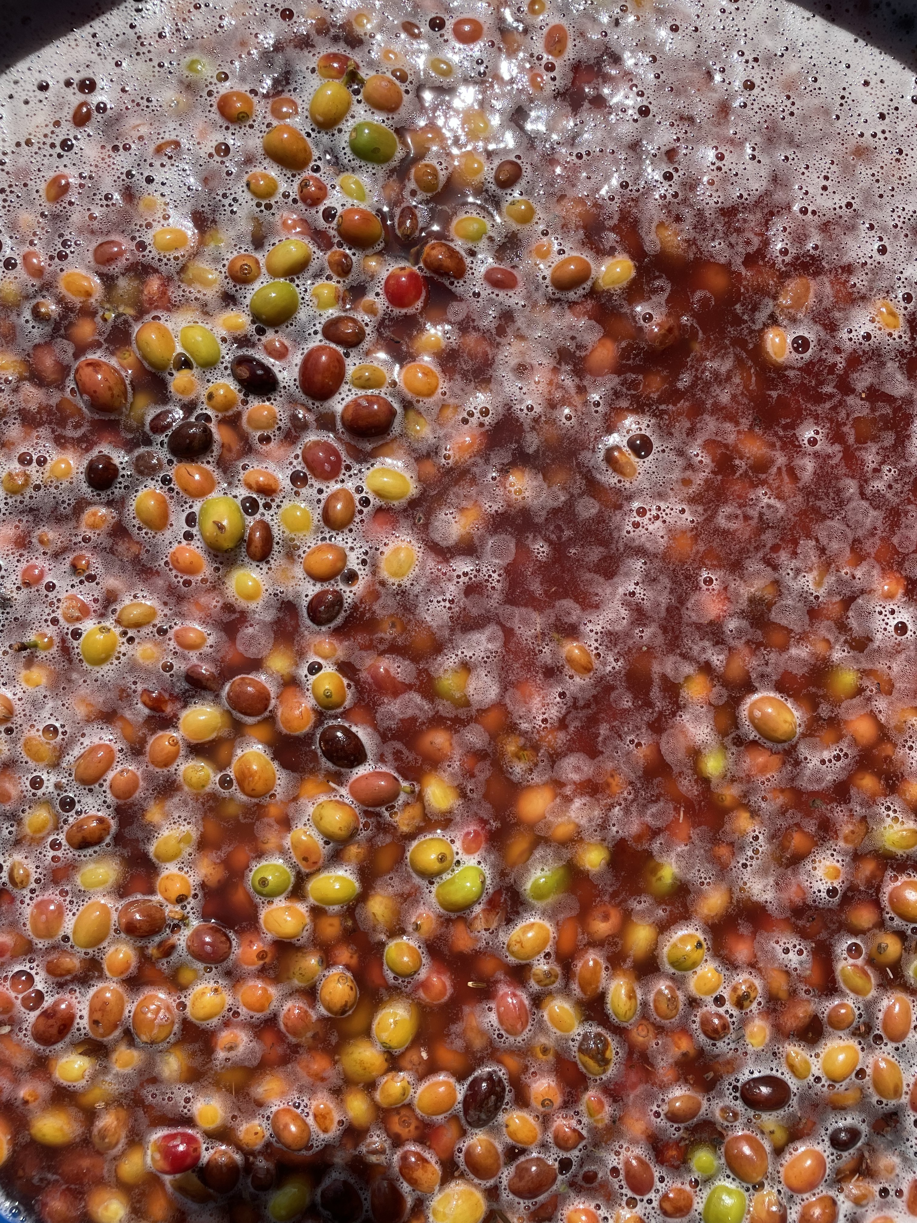 BANGSI Natural fermentiert – Bild 2